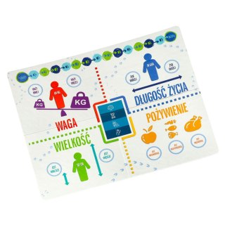 Gra edukacyjna Na topie gra dla ciekawskich 8+ MULTIGRA