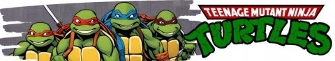 Turtles Wojownicze Żółwie Ninja zestaw do odgrywania ról sztylety + maska