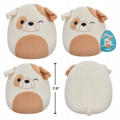 SQUISHMALLOWS MASKOTKA PLUSZAK PIESEK BULLDOG BROCK 19 CM