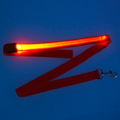 Smycz dla psa świecąca LED 2,5x120cm pomarańczowa
