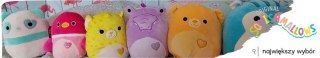 SQUISHMALLOWS original maskotka pluszak brelok papuga Tycho 9cm