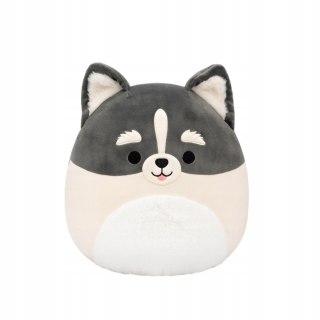 Squishmallows maskotka poduszka Wielki pluszak pies pomsky Paolo 30cm