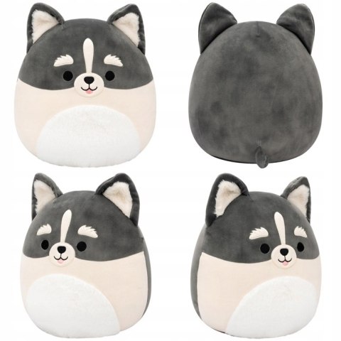 Squishmallows maskotka poduszka Wielki pluszak pies pomsky Paolo 30cm