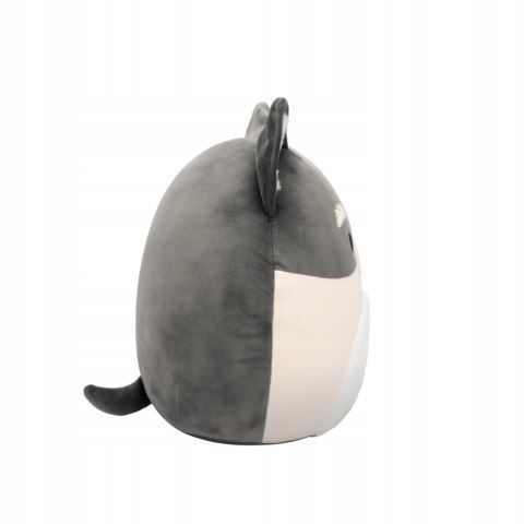 Squishmallows maskotka poduszka Wielki pluszak pies pomsky Paolo 30cm