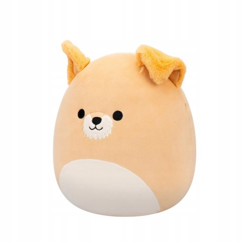 Squishmallows maskotka poduszka Wielki pluszak pies sznaucer Cooper 30cm