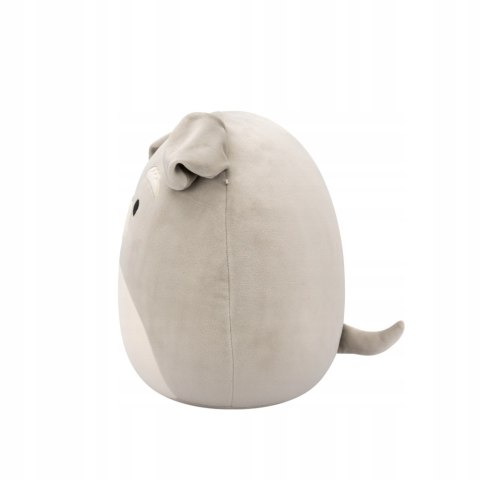 Squishmallows original maskotka poduszka Pies wielki pluszak Shaun 30cm