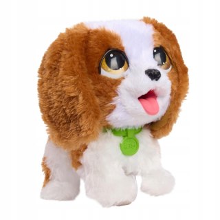 FurReal Interaktywny Piesek Cavalier King Charles Spaniel - Robi Kupkę