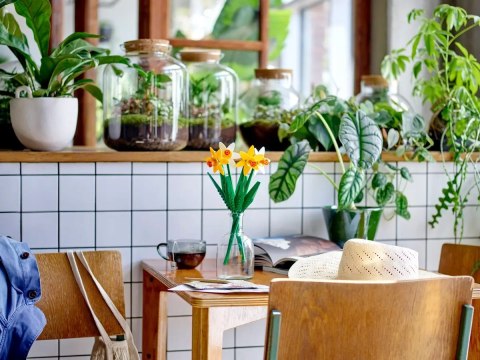 LEGO kwiaty na walentynki 40747 żonkile zestaw klocków, bukiet prezent