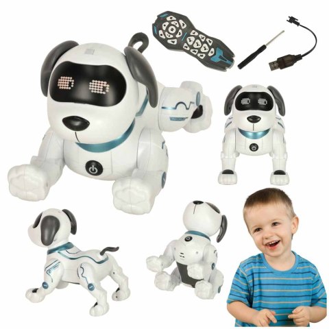 Pies RC robot zdalnie sterowany skacze chodzi