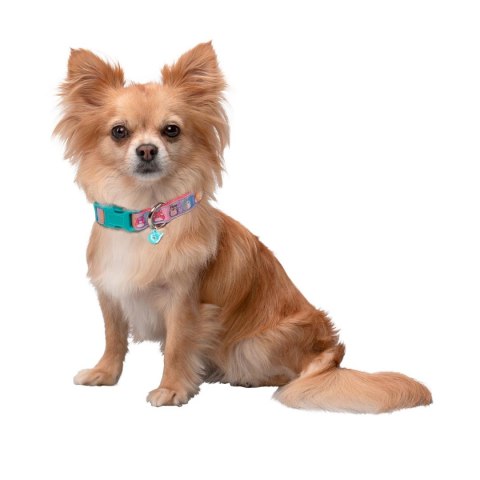 JAZWARES PETS Obroża Dla Psa, akcesoria dla zwierząt, rozmiar S