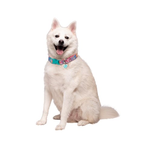 JAZWARES PETS Obroża Dla Psa, akcesoria dla zwierząt, rozmiar S