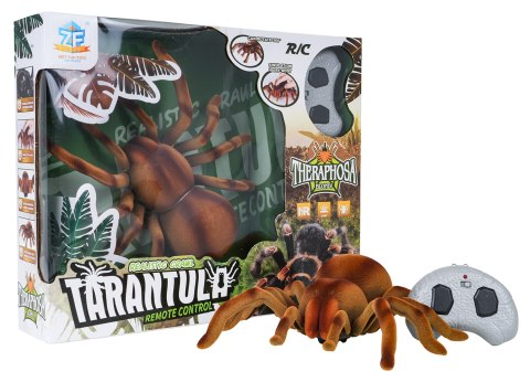 Pająk Tarantula R/C