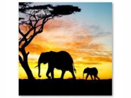 Haft Diamentowy słonie wild africa Obraz mozaika