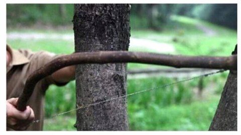 Piła ręczna strunowa survival