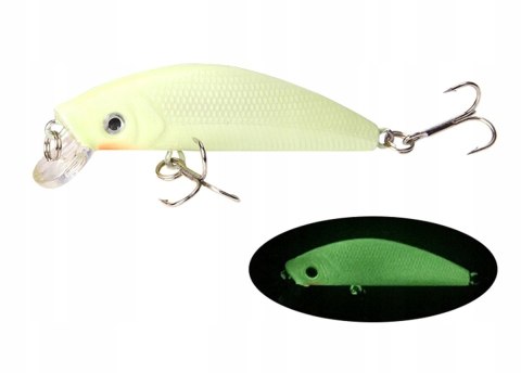 Woblery fluorescencyjne 5 szt zestaw woblerów