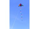 Latawiec SKYDOG - Rainbow Tube 24" - OGON