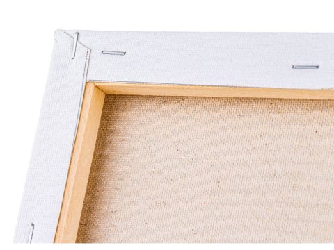 OBRAZ MALOWANIE PO NUMERACH RAMA 40x50cm JEZIORO ŁABĘDZIE